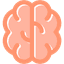 RevisApp Logo