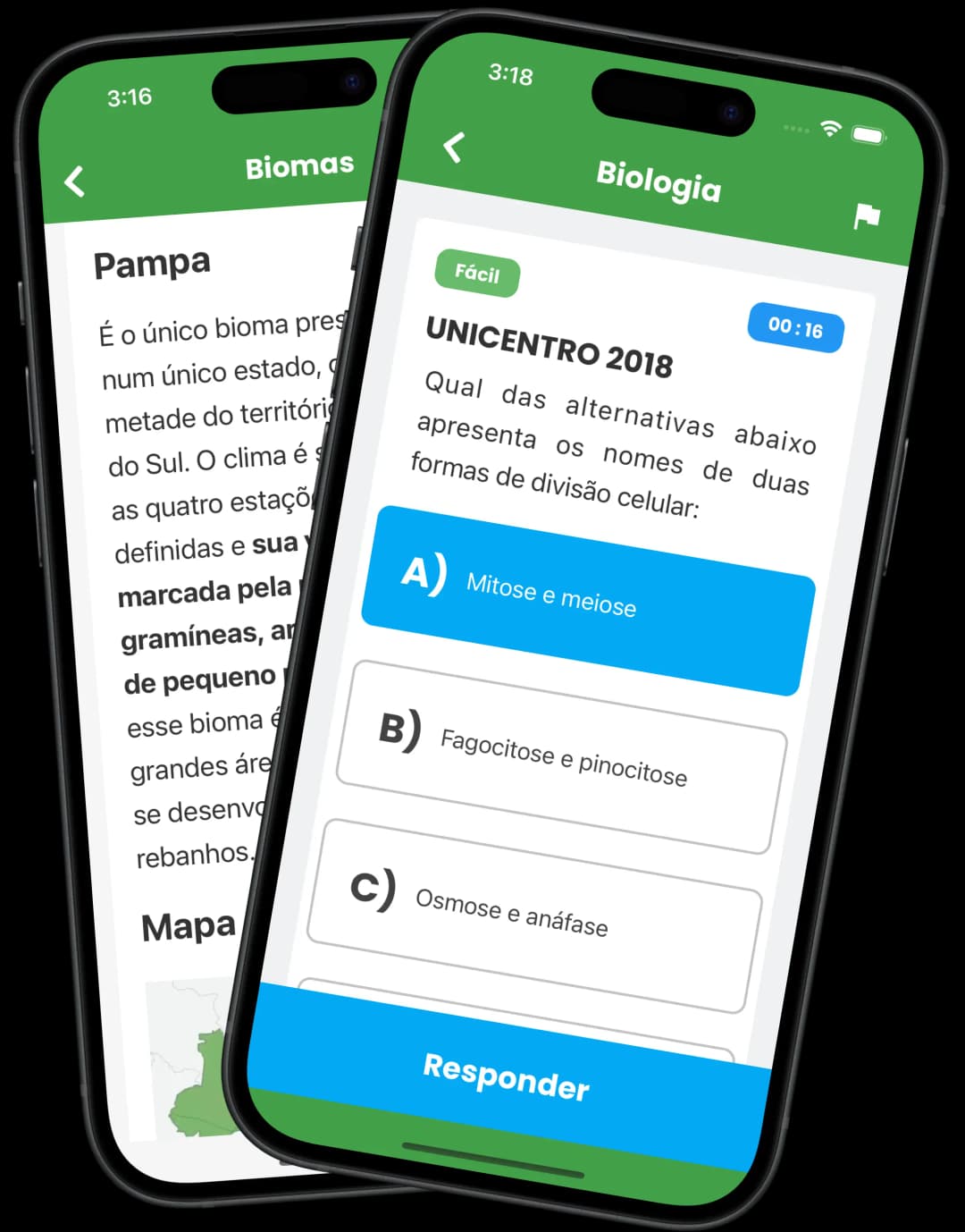 RevisApp Mockup